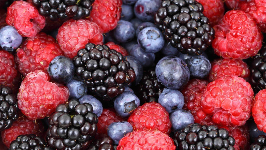 The Best Foods For A Healthy Brain As You Age